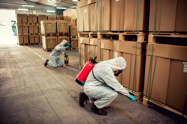 Best Rat Extermination Near Me  in Fair Plain, MI