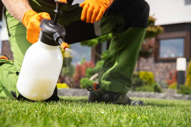Best Bird Control  in Fair Plain, MI
