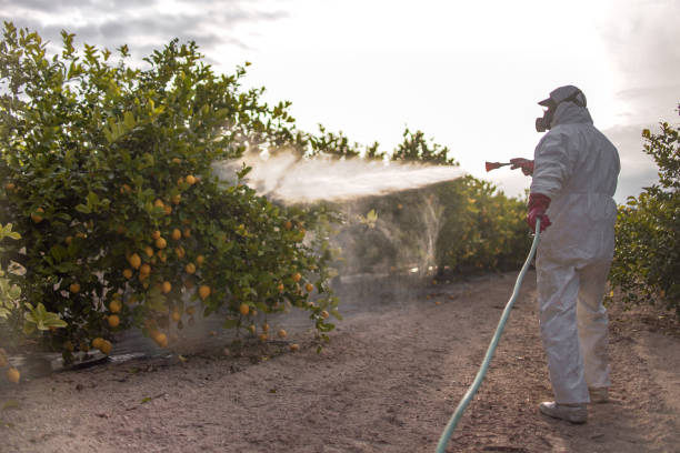 Best Local Pest Control Services  in Fair Plain, MI