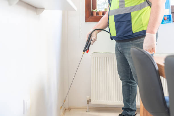 Best Bed Bug Extermination  in Fair Plain, MI