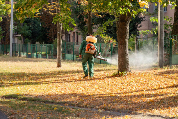 Best Mosquito Control Services  in Fair Plain, MI