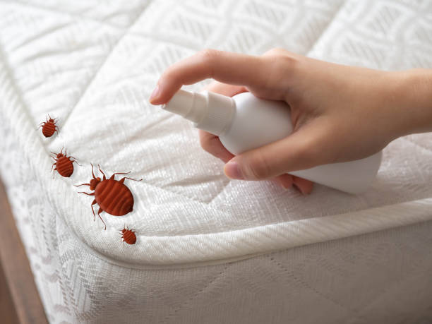 Best Residential Pest Control  in Fair Plain, MI