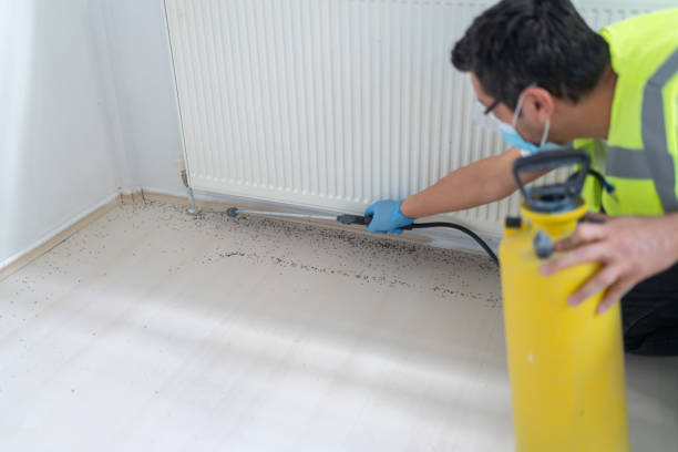 Best Exterminator Services  in Fair Plain, MI