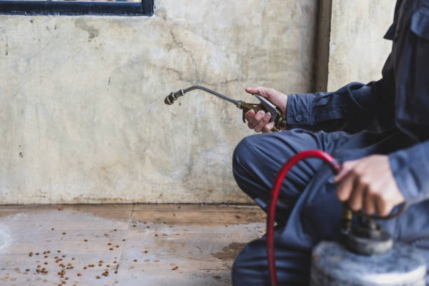 Best Best Pest Control Companies  in Fair Plain, MI