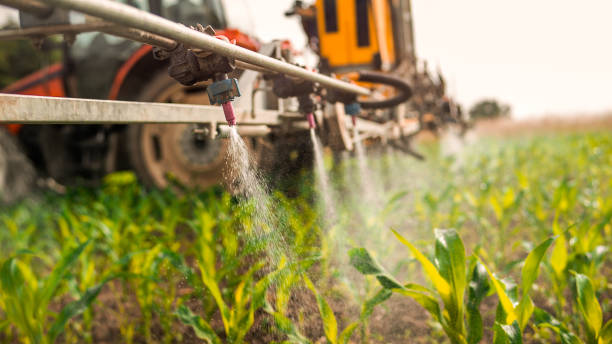 Best Pest Removal Services  in Fair Plain, MI